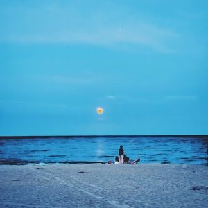 Meet your Posher, Chase